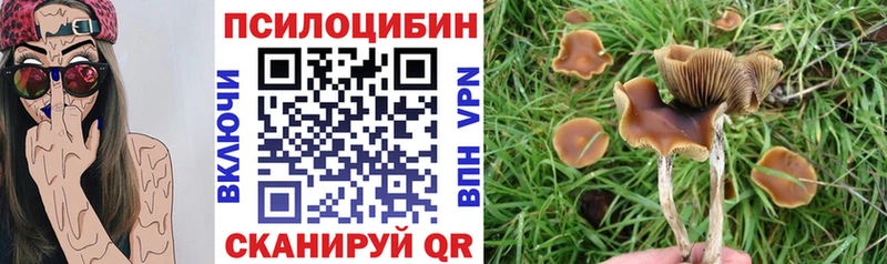 Псилоцибиновые грибы ЛСД  где продают   Алагир 